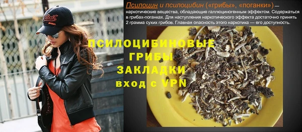мдпв Арсеньев