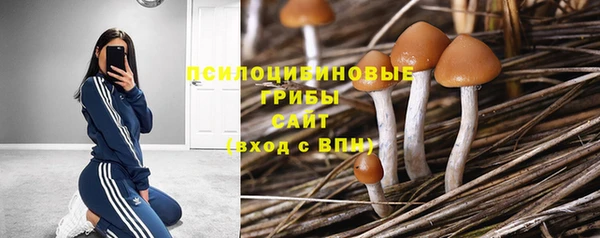 тгк Армянск