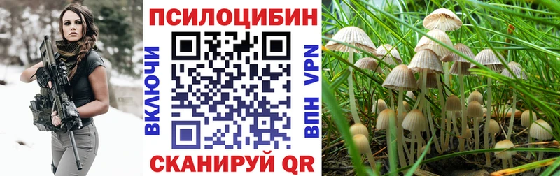 Псилоцибиновые грибы Cubensis  гидра маркетплейс  Мирный 